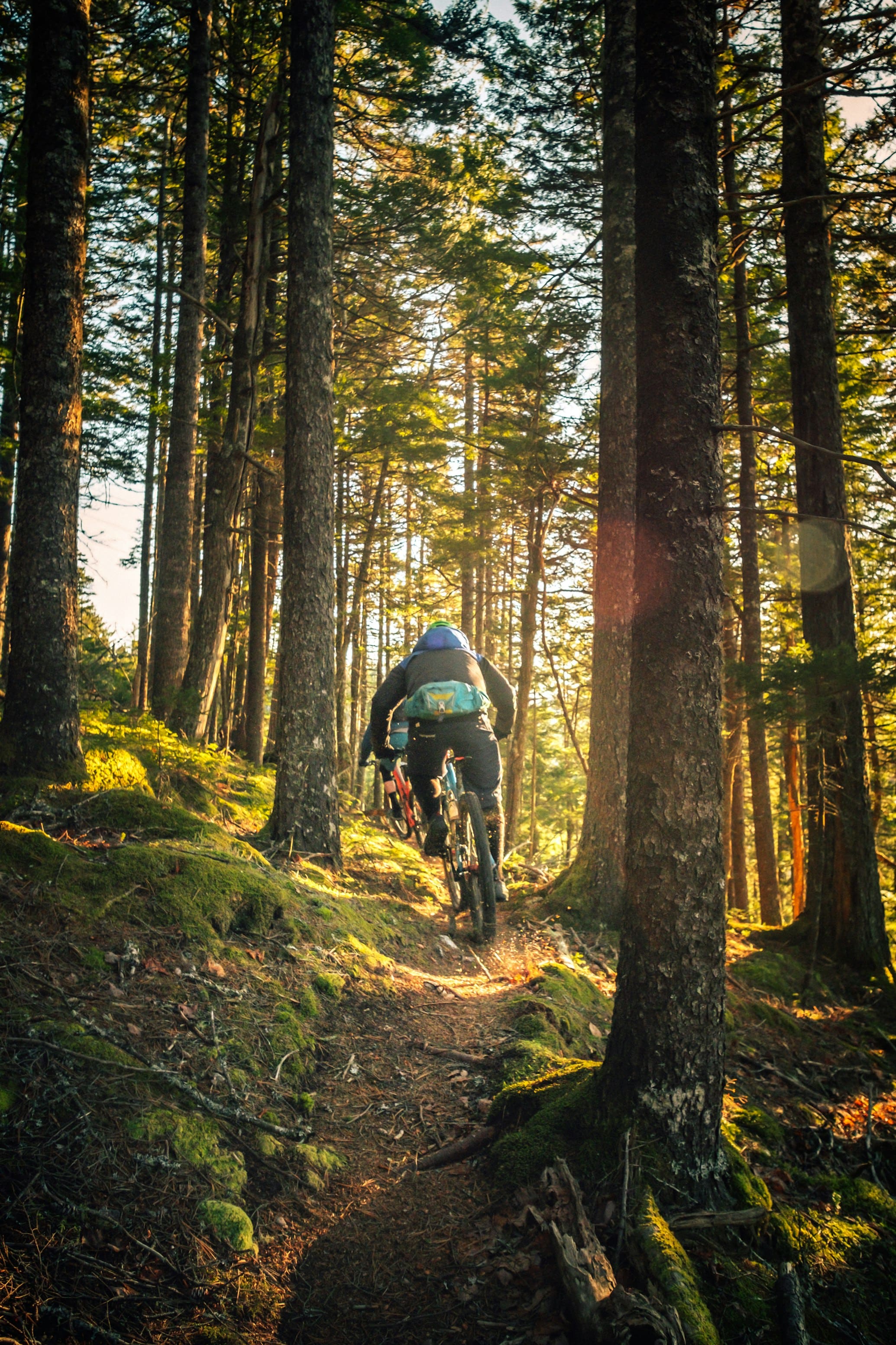 Mountain Biking Travel Insurance